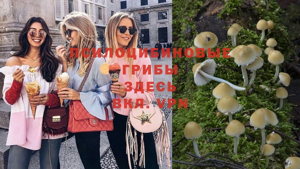 амф Михайловск