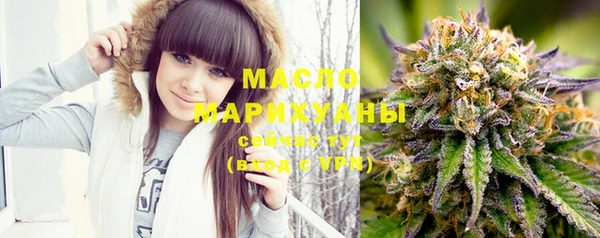 индика Наволоки